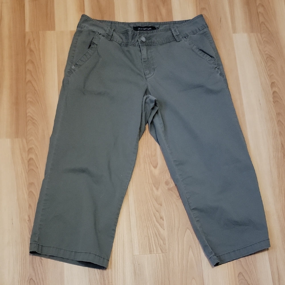 Calvin Klein Jeans Olive Capri Pants Size 10
